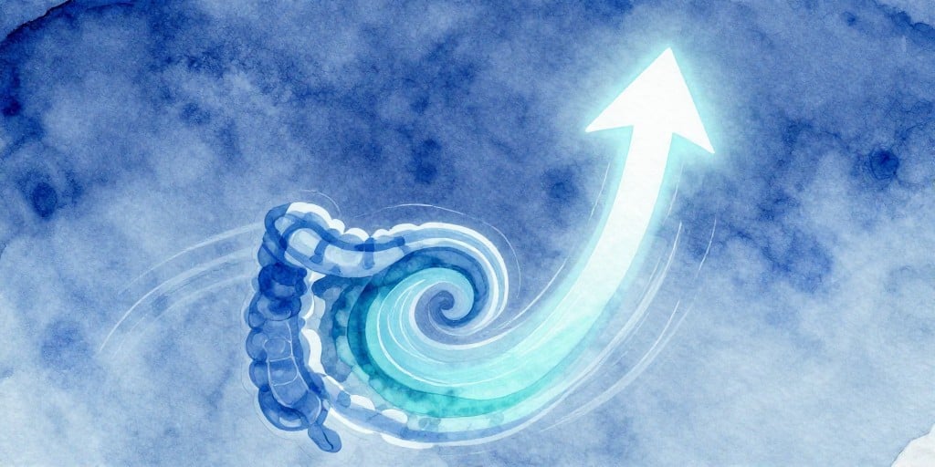 AbbVie’s Skyrizi & Rinvoq Deliver Long‑Term IBD Success at ACG Meeting, Boosting Revenue Outlook