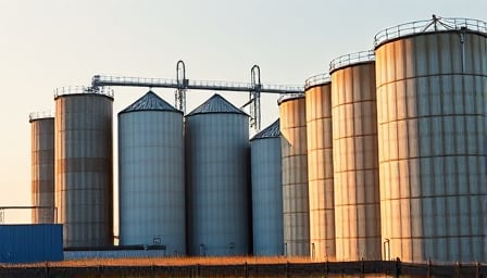 Bunge Global SA Stock Price Holds Steady Amid Corporate Changes and Financial Updates