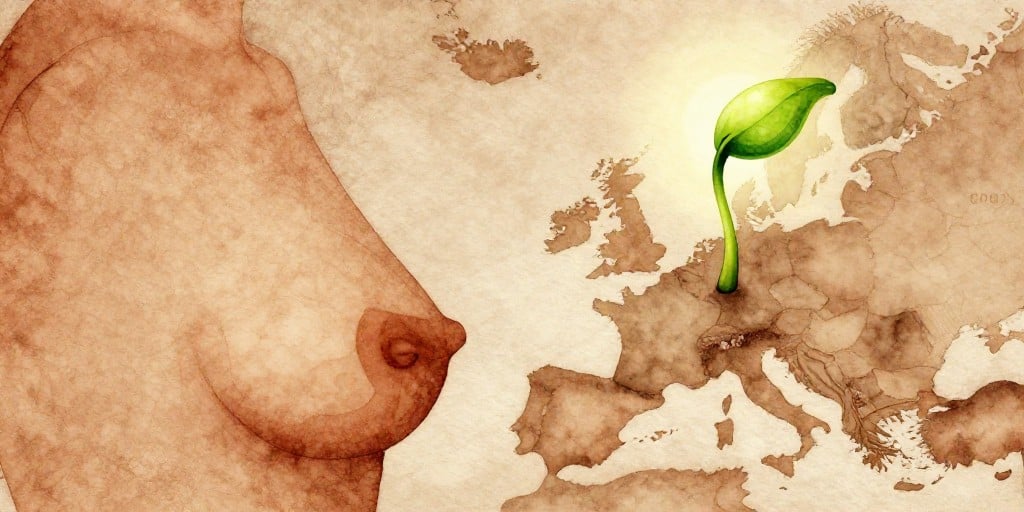 DS Secures EU Boost: Enhertu’s Early‑Stage HER2 Approval Sets New Oncology Milestone