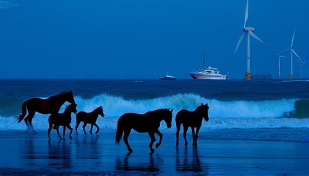 Equinor's Shares Surge on Offshore Wind Project Resumption and Market Rally