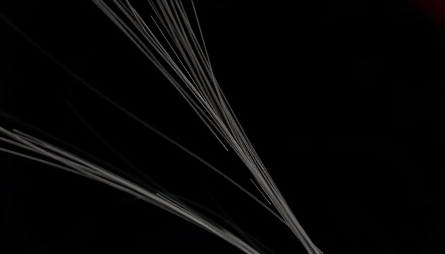 Fox Corp Gains Momentum as ETF Investment, Silicon Photonics Order Boost Tech‑Driven Media Growth