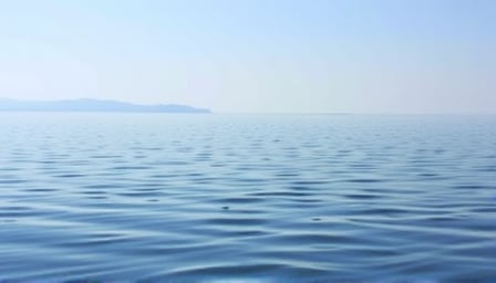 Infratil Holdings Maintains Stability Amid Market Volatility