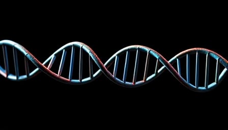 Natera Inc: Poised for a Comeback with Focus on Genetic Testing and AI Innovation