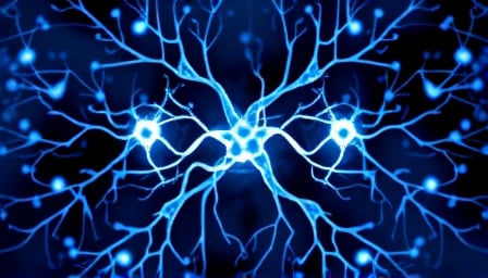 Neurocrine Biosciences Achieves Breakthroughs in Neuropsychiatric and Neurodegenerative Disease Treatments