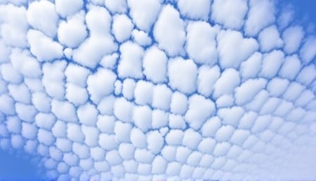 Oracle Corp Surpasses Expectations in Q1 FY26, Cements Cloud Leadership with Record Growth