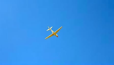 Ryanair Maintains Stability Amid Market Volatility, Boosted by Investor Confidence