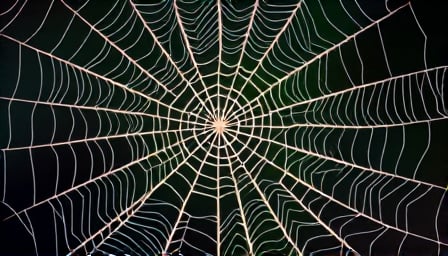 Schroders Faces Scrutiny Over Strategic Moves Amid Market Pressures