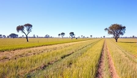 Wesfarmers' Stock Price Surge: Market Confidence or Temporary Illusion?